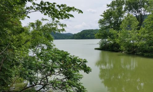Friends of Radnor Lake