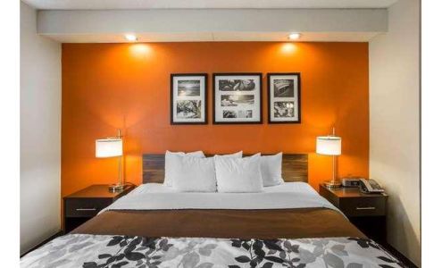 Sleep Inn Nashville - Brentwood - Cool Springs