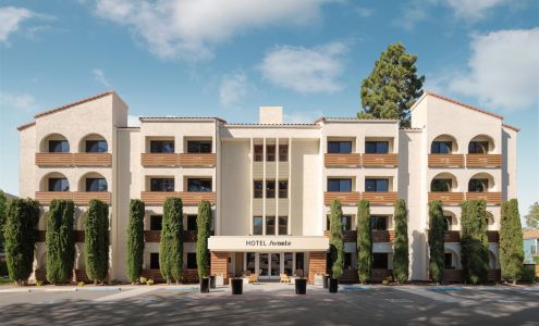 Hotel Avante - JDV by Hyatt