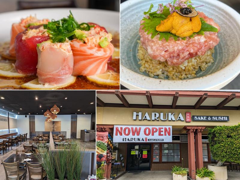 Haruka Sake and Sushi