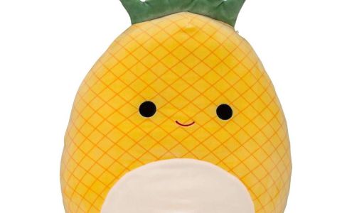 XBeez Toys Distributor College Place