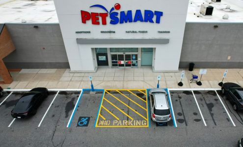 PetSmart Grooming