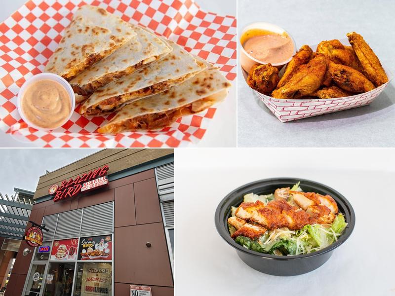 Blazing Bird (Aurora)