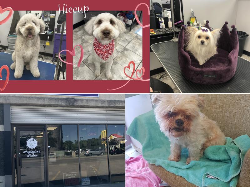 Ruffington’s Palace