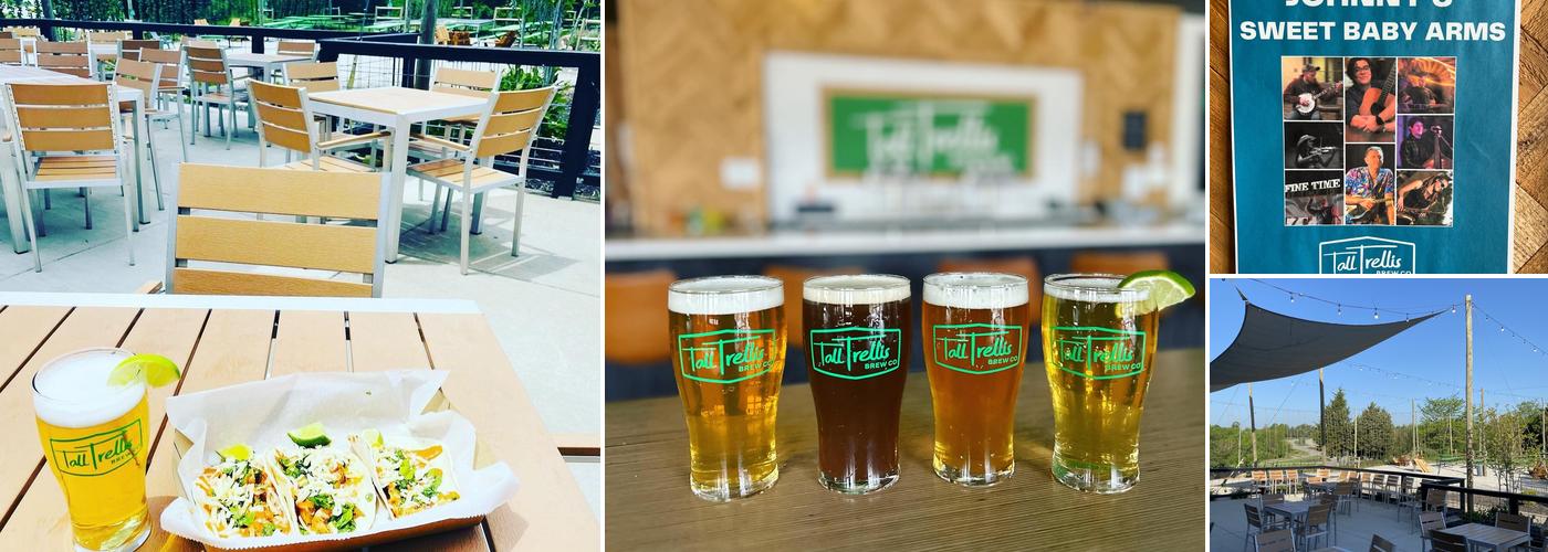 Tall Trellis Brew Co.