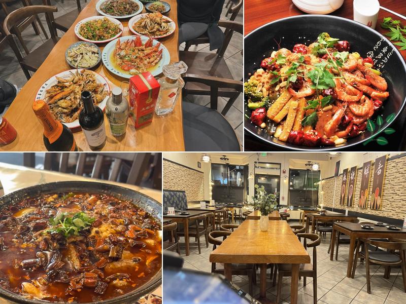 BOS' SiChuan Taste一碟川菜馆