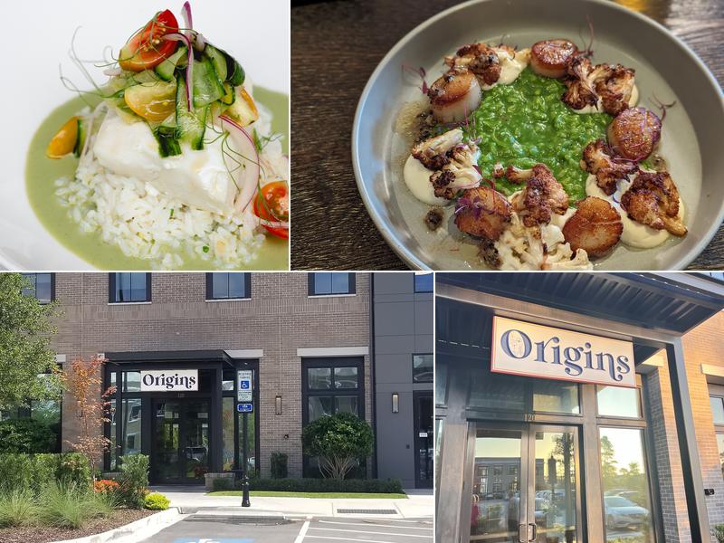 Origins Food and Drink 102 Autumn Hall Dr Unit 120, Wilmington