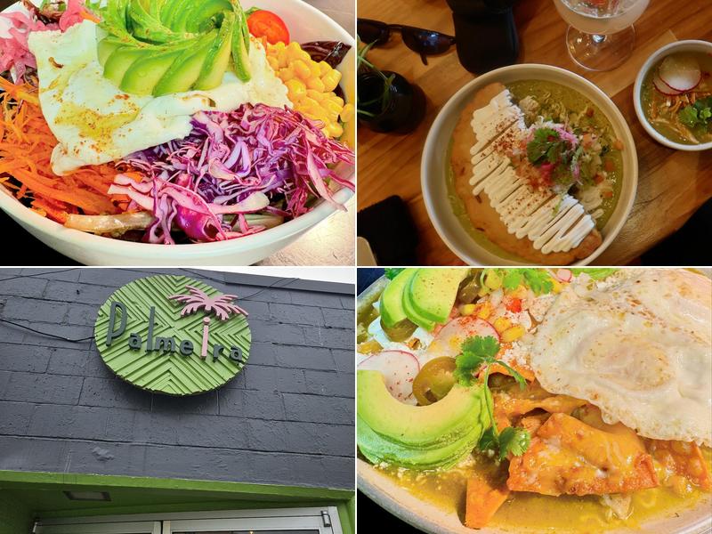 Palmeira tropical fusion