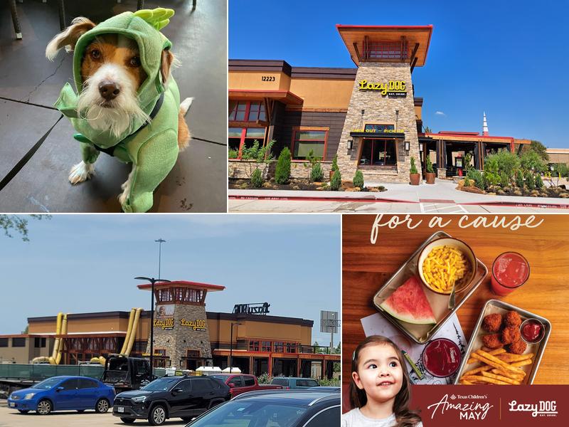 Lazy Dog Restaurant & Bar