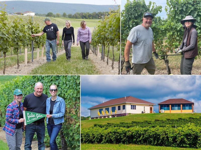 Galen Glen Vineyard & Winery