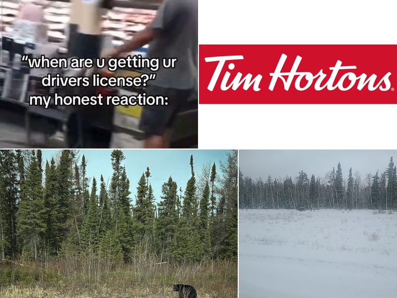 Tim Hortons MB-373, Rossville