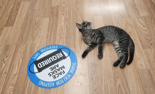 Bay-Wave Barbershop 227 US-90, Waveland Mississippi 39576