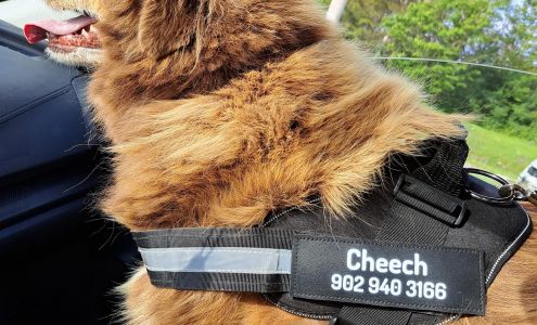 Miltonvale Park Veterinary Clinic