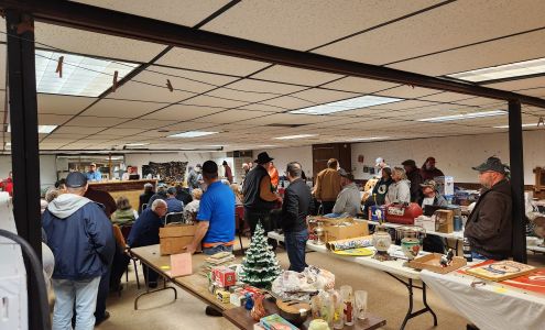 Green Parrot Auction Payson