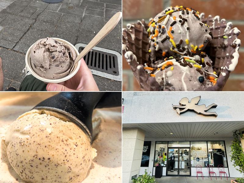 Angela’s Organic Ice Cream