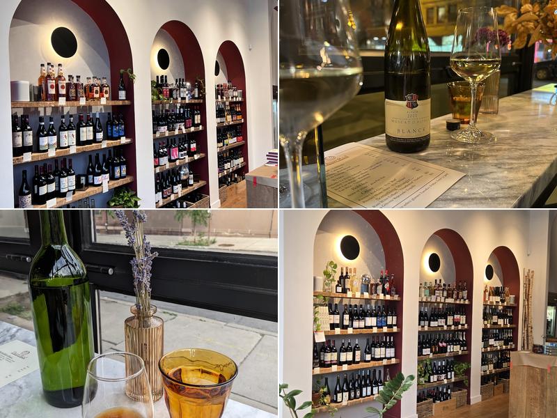 Deep Red Wine Merchant