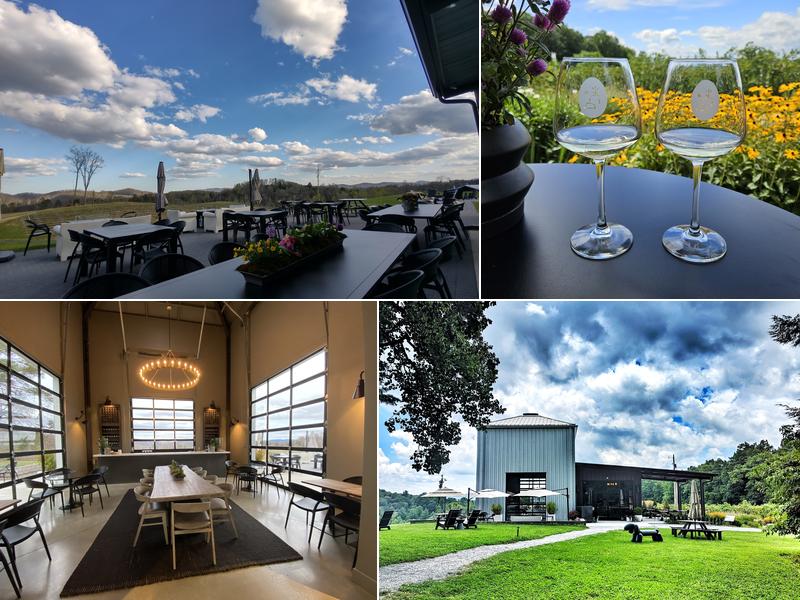 Marked Tree Vineyard