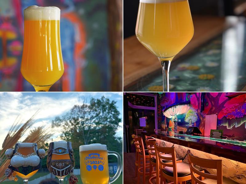 Mystic Ways Brewing 510 1/2 W Walnut St, Perkasie