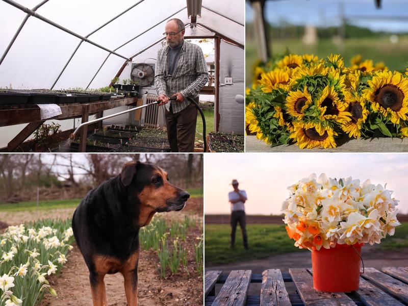 North Fork Flower Farm