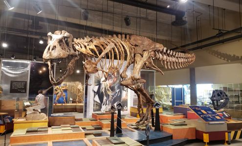 T.rex Discovery Centre Eastend