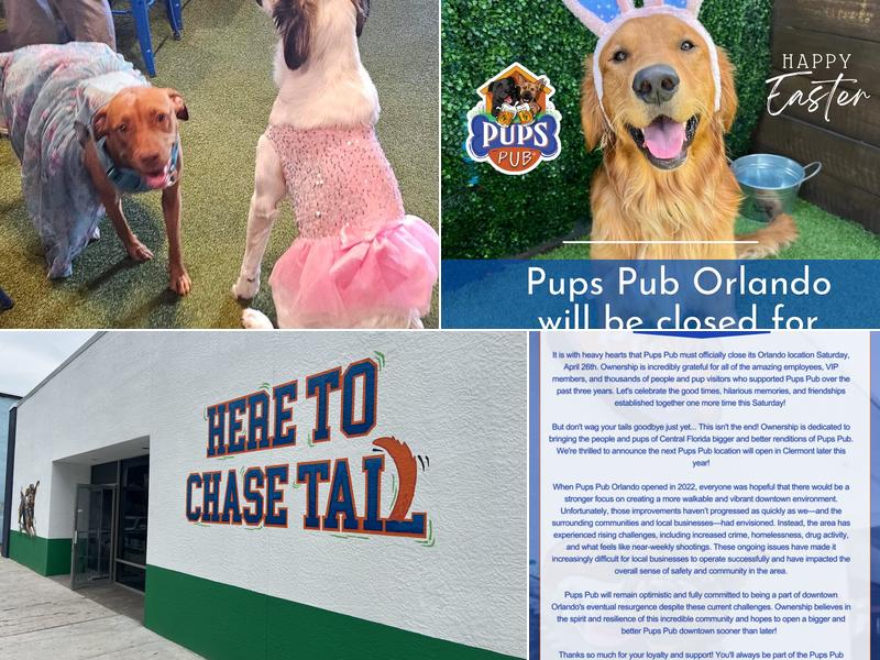 Pups Pub Orlando