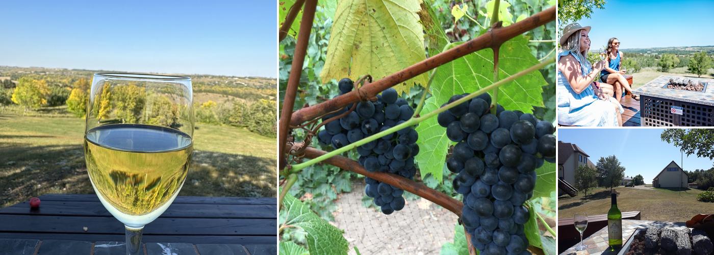 Pointe of View Winery