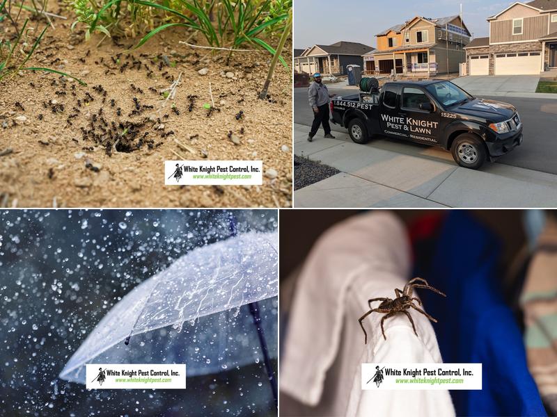 White Knight Pest Control, Inc.