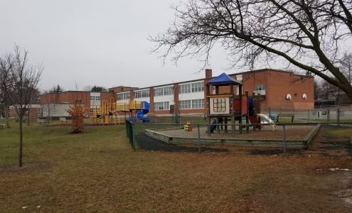 Dunlace Public School