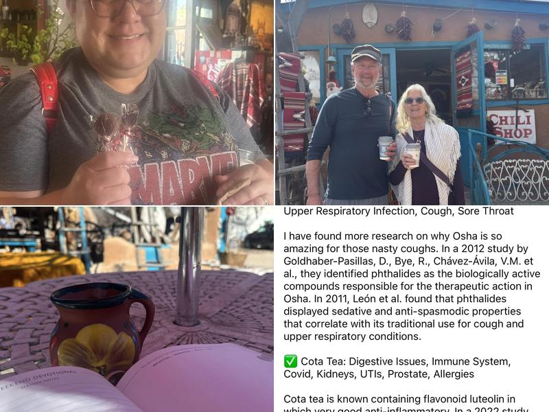 Snack bar 4 Medina Ln, Chimayo