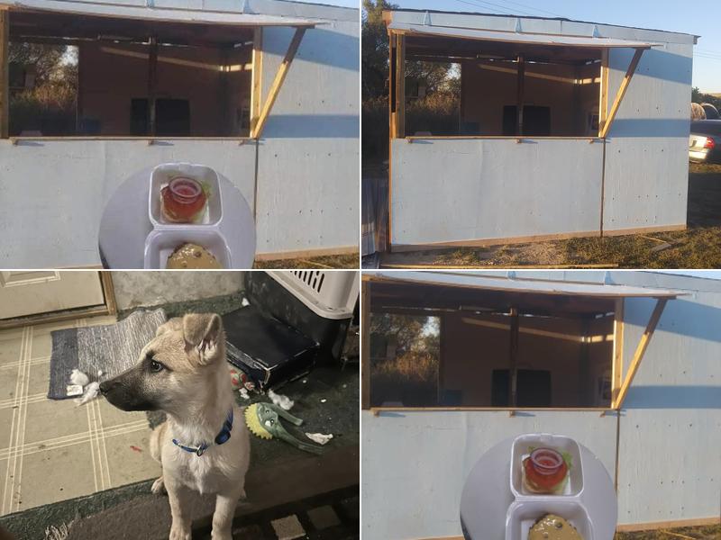 Cesars RoadSide Stand and Grill