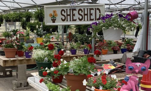 Ellis Greenhouse Lucas