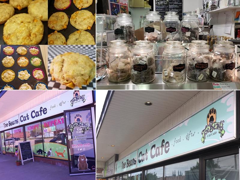 Toe Beans Cat Cafe 119 Peter St, Port Hope