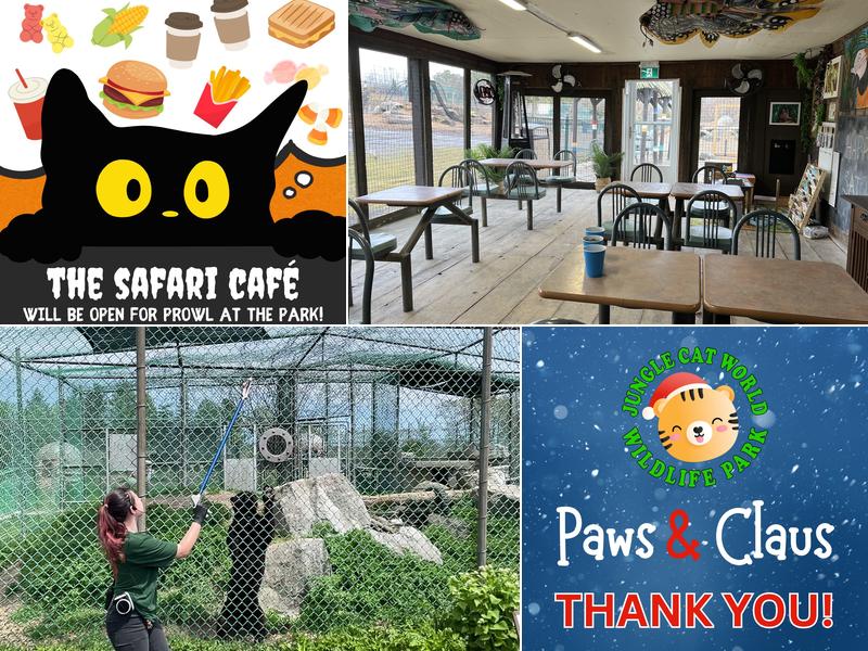 Jungle Cafe 3667 Concession Rd 6, Orono