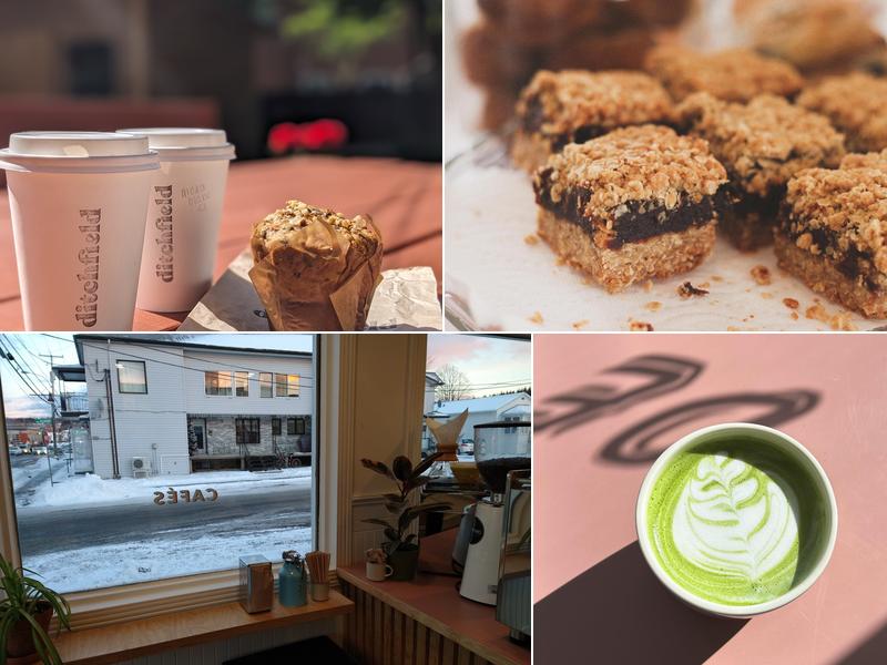 Ditchfield microtorréfacteur