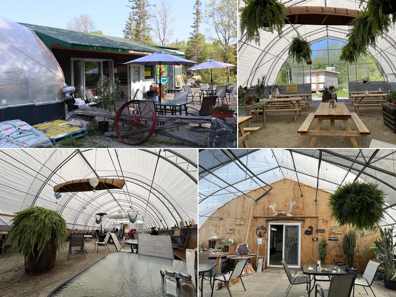 Saucy Apple 231 10th Side Rd, Tehkummah