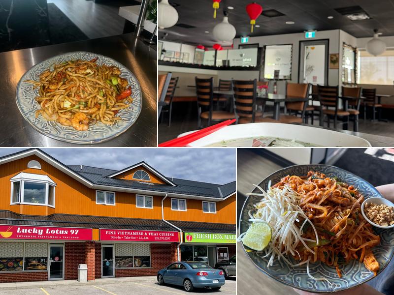 Lucky Lotus 97 - Authentic Thai and Vietnamese Food