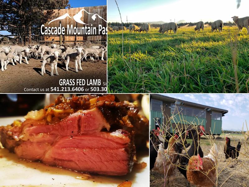 Cascade Mountain Pastures