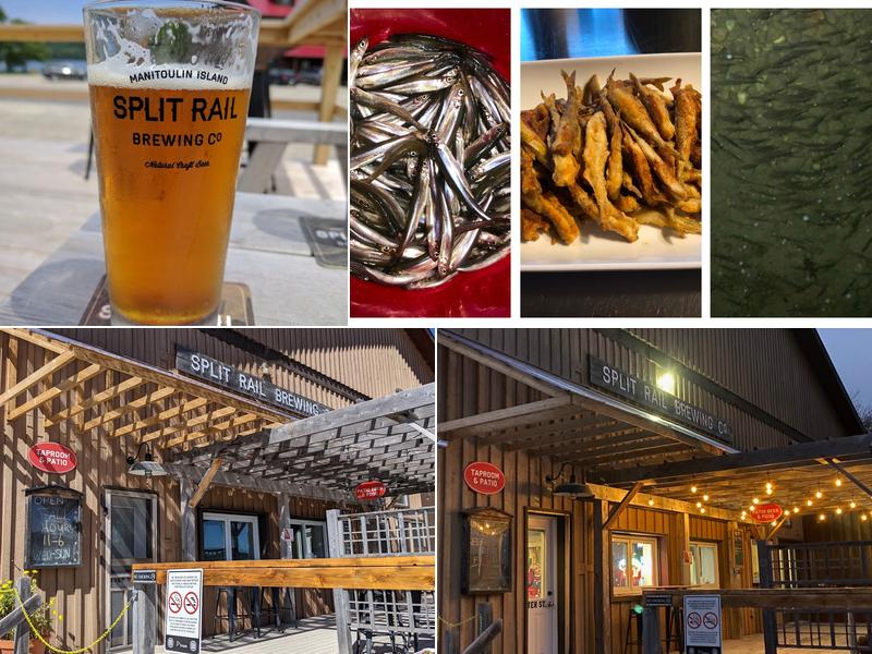 Split Rail Brewing Co. 31 Water St, Gore Bay