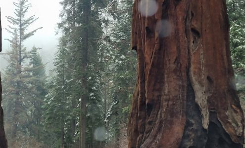 Tesla Destination Charger