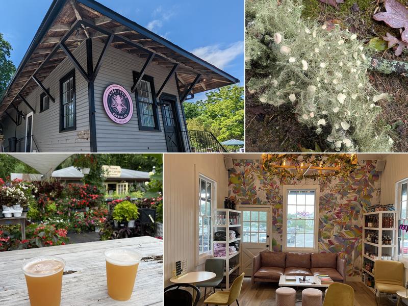 Kidd Squid Brewing Company