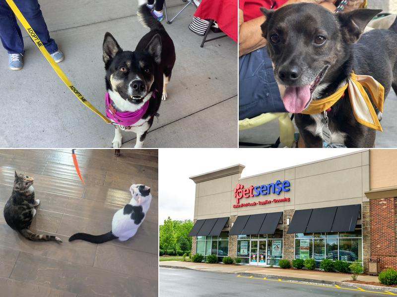 Petsense by Tractor Supply