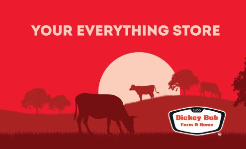 DICKEY BUB TRUE VALUE