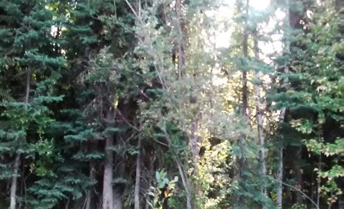 Badger Gas North Pole