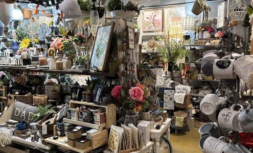 Orange Poppy Soldotna