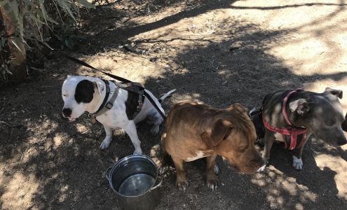 Shady Lady Attic Antiques Chloride