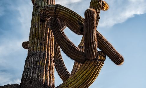 The Boulders 34631 N Tom Darlington Dr, Carefree Arizona 85377