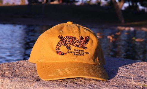 CREAM Design and Print