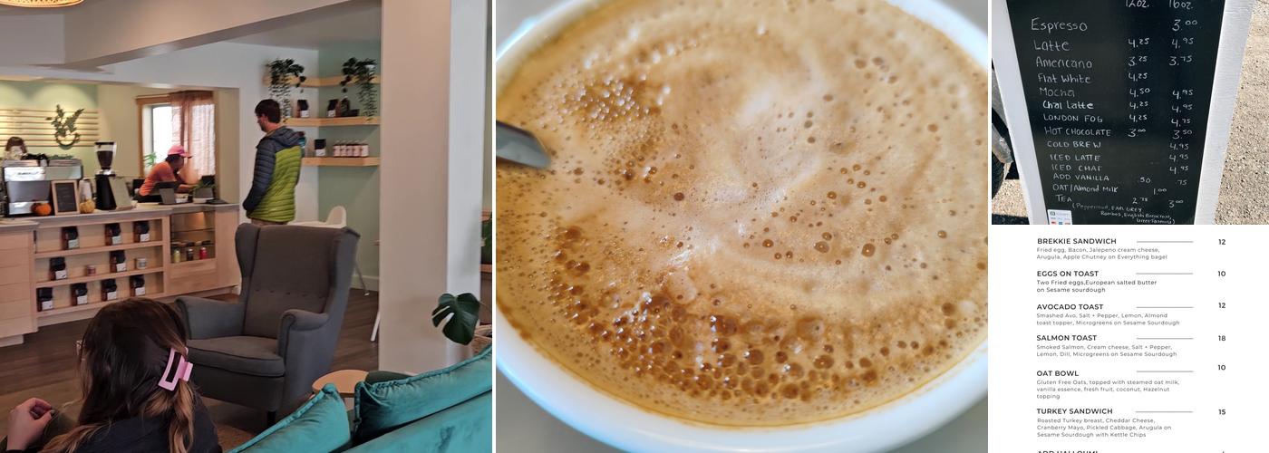 Wandering Fern Cafe Menu