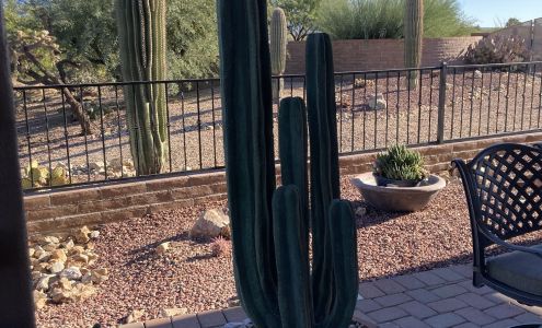 Stone Cactus Waterfalls