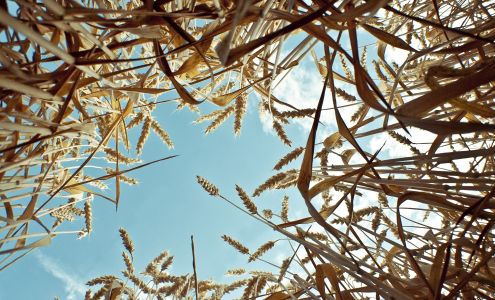 Lake Country Co-op Agro @ Canwood Canwood